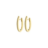 Anaya Recycled Crystal Hoop