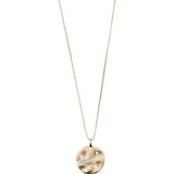 Capricorn Horoscope Necklace