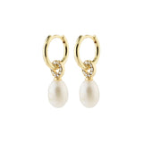 BAKER freshwaterpearl earrings gold-plated