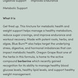 Blue Burn - Metabolic & Weight Support Tincture