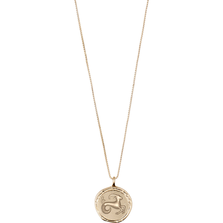 Capricorn Zodiac Necklace