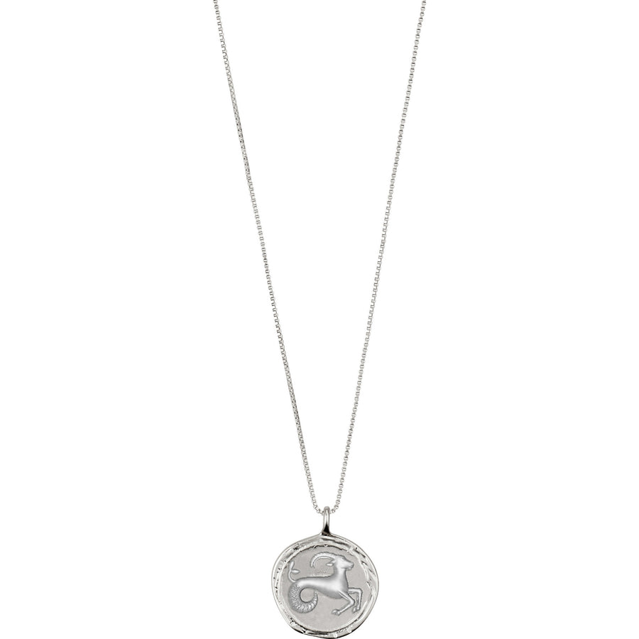 Capricorn Zodiac Necklace