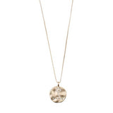 Pisces  Horoscope Necklace